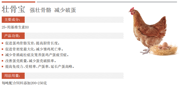 QQ截图20241217135221