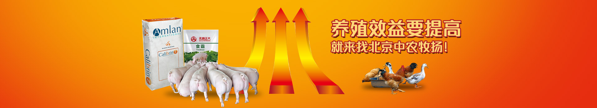 养殖效益要提高，就来找北京中农牧扬