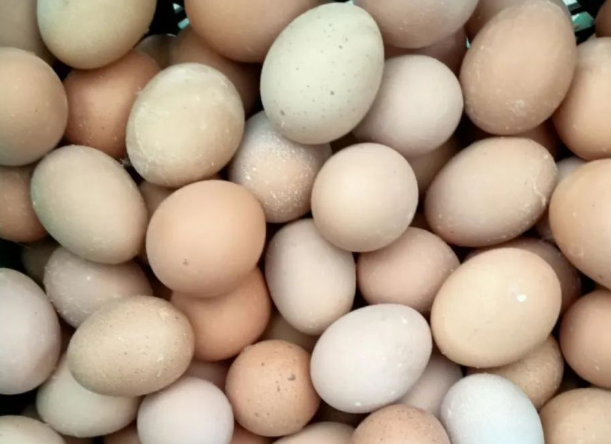 蛋壳颜色发白怎么办？蛋壳红，解决蛋壳着色难题