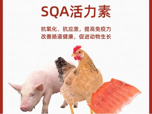 活力素 壳糖胺螯合稀土