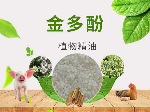 植物精油-金多酚