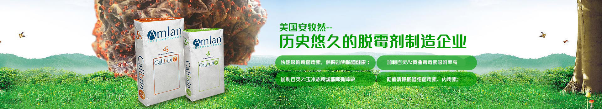 美国安牧然，历史悠久的脱霉剂制造企业